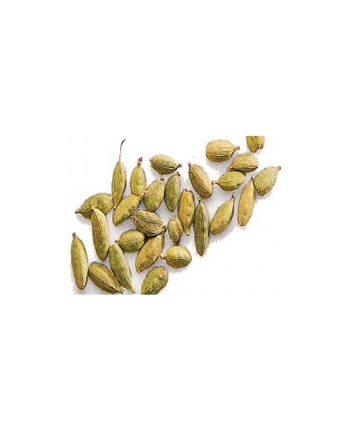 Cardamomo