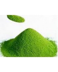 Chlorella alga  polvere