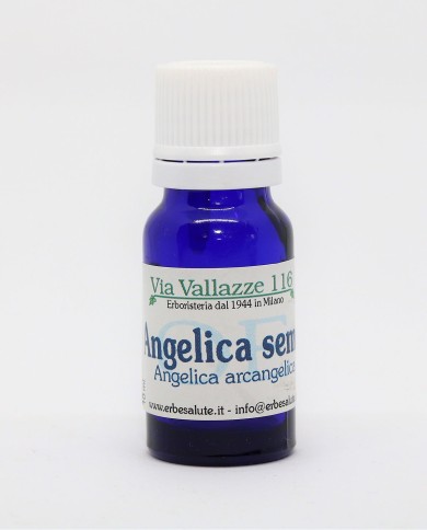 Angelica seme