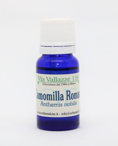 Camomilla romana Camomilla romana