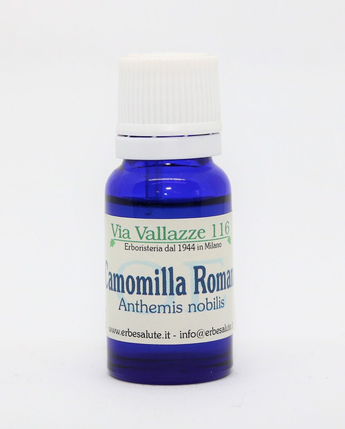 Camomilla romana