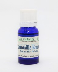 Camomilla romana