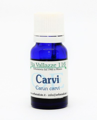 Carvi seme Carvi seme