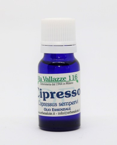 Cipresso bacche Cipresso bacche