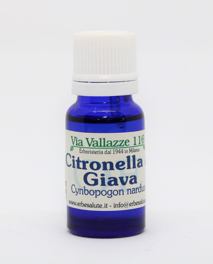 Citronella di Giava