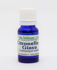Citronella di Giava