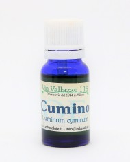 Cumino