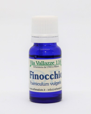 Finocchio