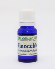 Finocchio