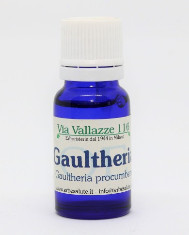 Gaulteria  Wintergreen olio essenziale