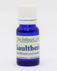 Gaulteria  Wintergreen olio essenziale