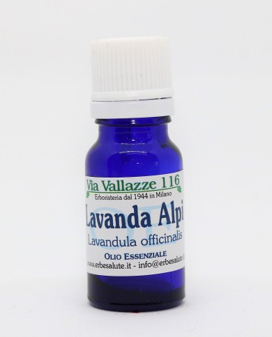 Lavanda alpi