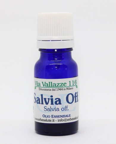 Salvia