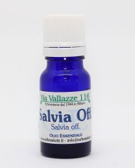 Salvia
