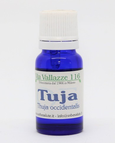 Tuja Olio Essenziale