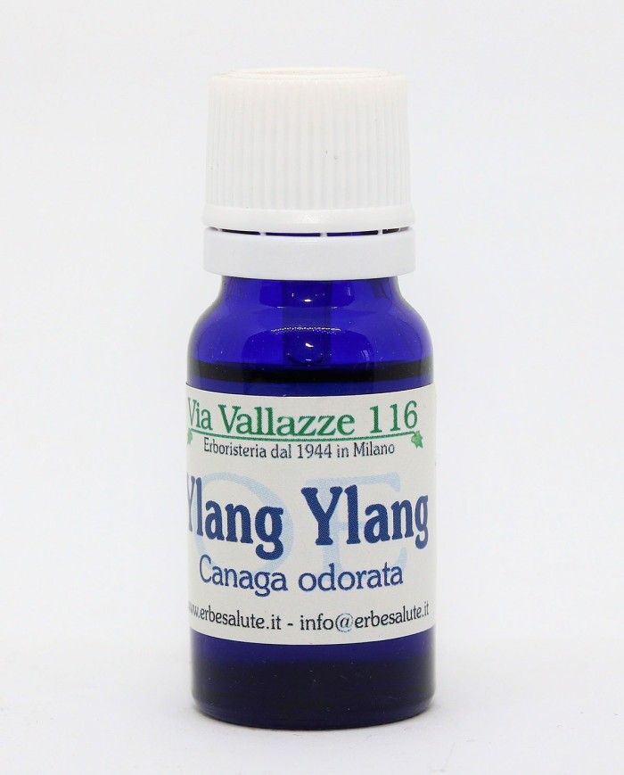 Zenzero Olio Essenziale