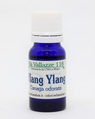 Ylang Ylang