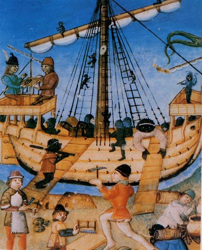 Maca polvere - Lepidium Meyenii 100 gr