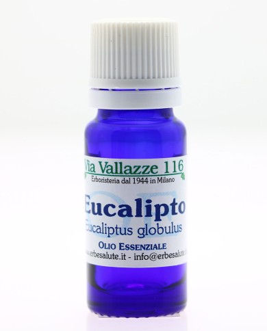 Eucalipto
