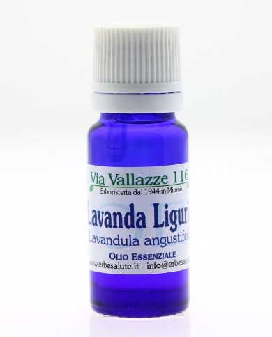 Lavanda Liguria olio essenziale