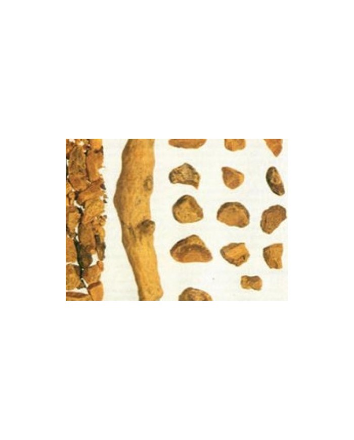 Curcuma radice intera e taglio tisana