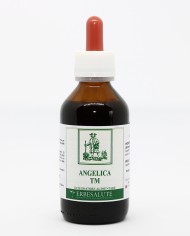 Angelica Tintura madre