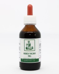 Ribes Nero MG