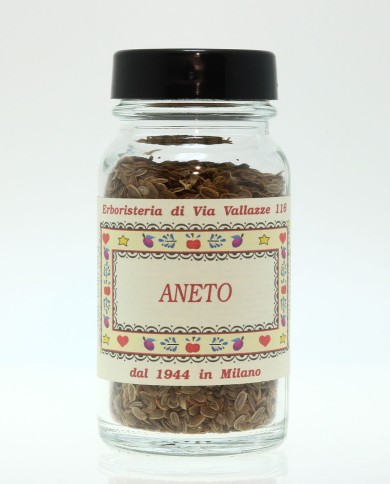 Aneto seme vasetto Aneto seme vasetto