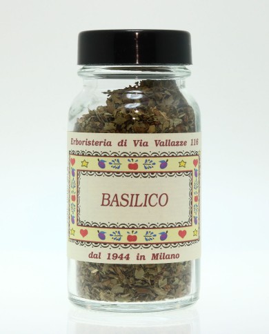 Basilico vasetto Basilico vasetto