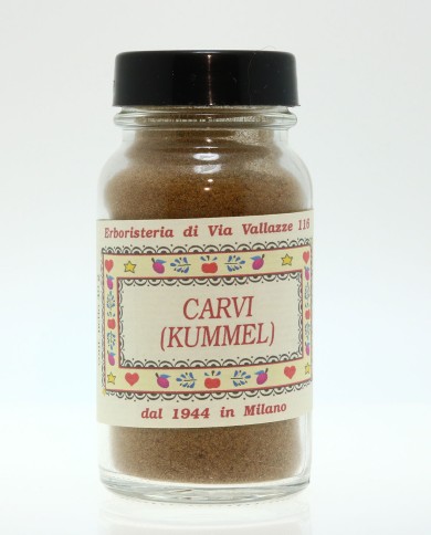 Carvi seme polvere
