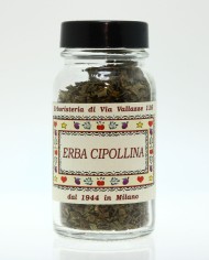 Cipollina erba
