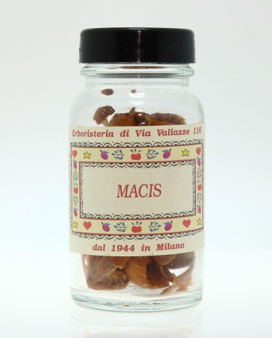 Macis intero