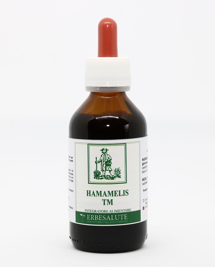 Hamamelis virginiana