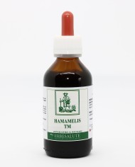 Hamamelis virginiana