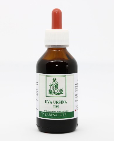 Uva ursina Uva ursina