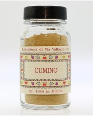 Cumino polvere sfusa