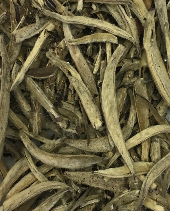 Silvery Pekoe Yin Zhen