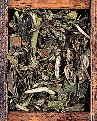 Pai mu tan - white peony