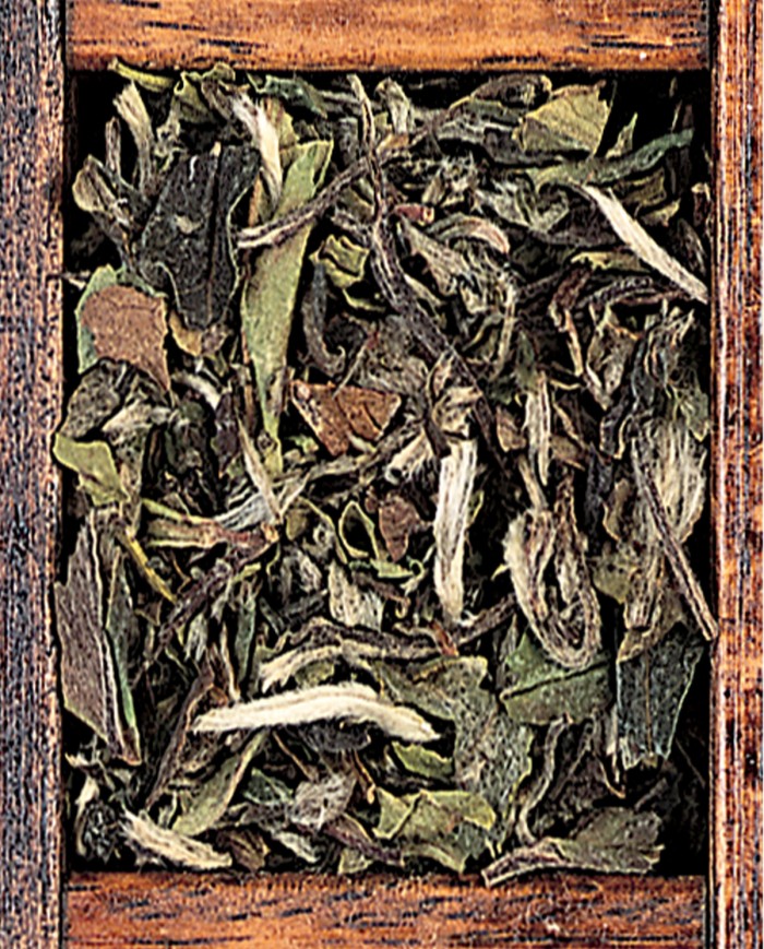 Pai mu tan - white peony