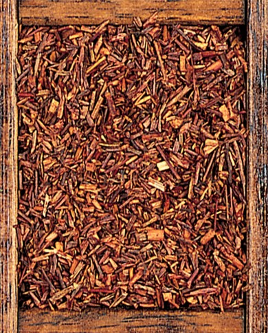 Rooibos Città del capo