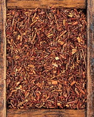 Rooibos Città del capo