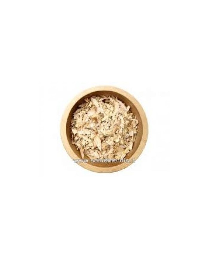 Fagiolo baccello taglio tisana