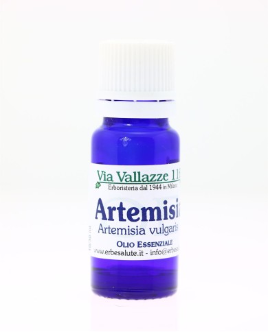 Artemisia