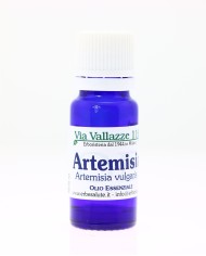 Artemisia