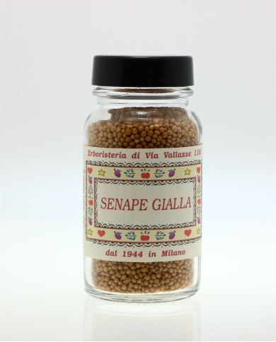 Senape gialla intera