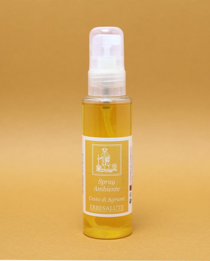 Spray ambiente 5 Terre 100 ml