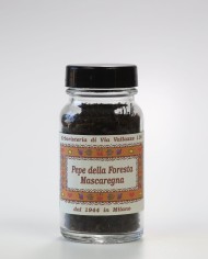 Pepe della foresta Mascaregna (Voatsiperiphery)