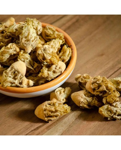 Fico d'india fiori (cactus)