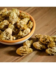 Fico d'india fiori (cactus)