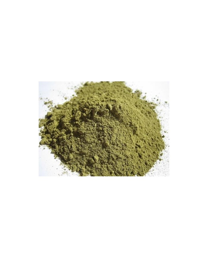 Hennè neutro  -  cassia obovata 